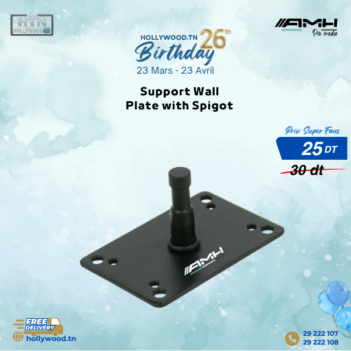 AMH SUPPORT WALL PLATE WITH SPIGOT En Tunisie